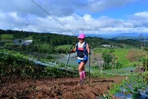 BIB: 
                            <button type="button" onclick="openModal(13379177)" class="btn btn-primary btn-sm float-right btn-popup" data-toggle="modal" data-target=".modal-high-quality">
                        <i class="fas fa-shopping-cart"></i> Add to Cart
                    </button>
                                            <button type="button" onclick="isThisMe(13379177, true)" class="btn btn-success btn-sm float-right btn-popup btn-isme hidden" data-toggle="tooltip" data-placement="bottom" title="นี่คือรูปของคุณใช่ไหม คลิกที่นี่เพื่อเอาเข้าอัลบั้ม">
                        <i class="fas fa-plus"></i> Add to album
                    </button>
                    <button type="button" onclick="isThisMe(13379177, false)" class="btn btn-warning btn-sm float-right btn-popup btn-isnotme hidden">
                        <i class="fas fa-ban"></i> Remove from album
                    </button>